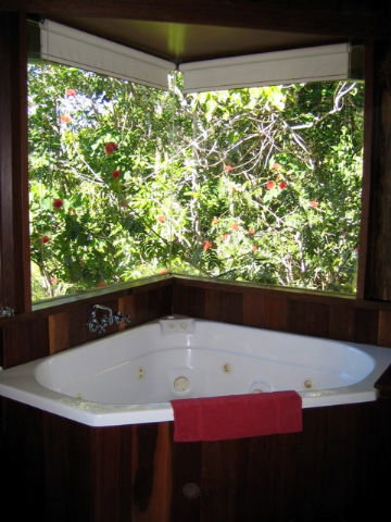 Rose Gums Wilderness Retreat - Redcliffe Tourism 3