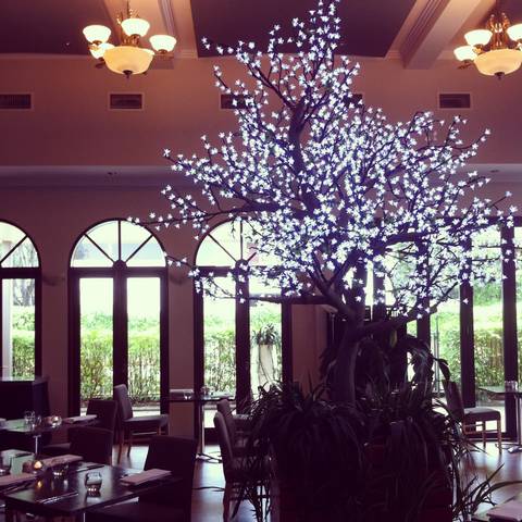 Shangri-La Gardens - Redcliffe Tourism 1