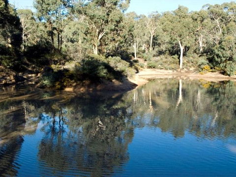 Toodyay Holiday Park & Chalets - Redcliffe Tourism 4