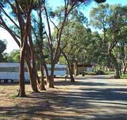 Wycheproof Caravan Park - Redcliffe Tourism