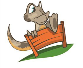 Dare Adventures - Redcliffe Tourism 0