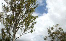 Glen Villa Resort And Tourist Park Casino - Redcliffe Tourism 0