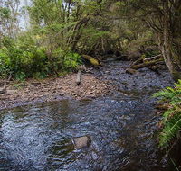Horse Swamp campground - Redcliffe Tourism