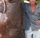 Michael's Clarence Valley Retreat - Redcliffe Tourism