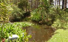 Tallowood Ridge B And B - Redcliffe Tourism 0