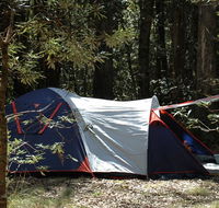 Thungutti campground - Redcliffe Tourism