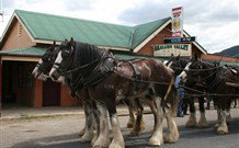 Araluen Valley Hotel - Araluen - Redcliffe Tourism 0