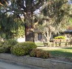 Hamilton Hume Motor Inn - Yass - Redcliffe Tourism
