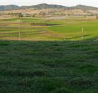 Leconfield House - Leconfield - Redcliffe Tourism