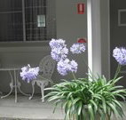 Pine Lodge Motel - Woolgoolga - Redcliffe Tourism