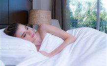 Remington Motor Inn - Muswellbrook - Redcliffe Tourism 0