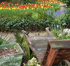 The Carrington Inn - Redcliffe Tourism