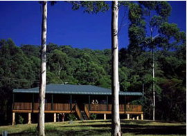 Dungog NSW Redcliffe Tourism