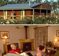 Twin Trees Country Cottages - Redcliffe Tourism