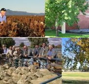 Southern Cross Motor Inn - Redcliffe Tourism