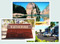 Red Gum Tourist Park - Redcliffe Tourism 0