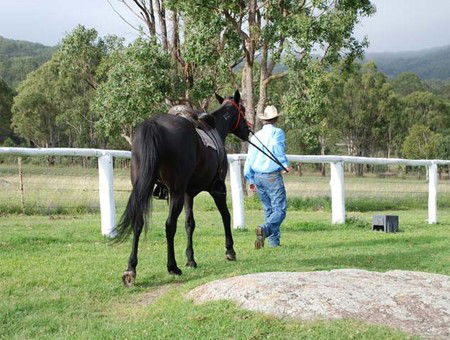 Cherrabah Resort - Redcliffe Tourism 2