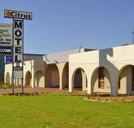 Citrus Motel - Redcliffe Tourism