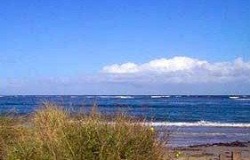 Carleton Inn - Redcliffe Tourism 2