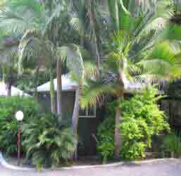 Nambour Rainforest Holiday Village - Redcliffe Tourism 1