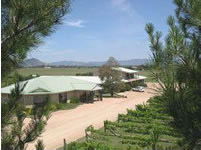 Mudgee Vineyard Motor Inn - Redcliffe Tourism 1