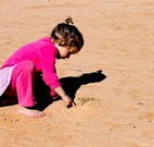 Stony Creek Farm B and B - Redcliffe Tourism