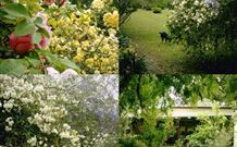 Chauvel Park B And B - Redcliffe Tourism 1