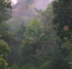 Havans Ecotourist Retreat - - Redcliffe Tourism