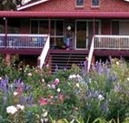 Rose Patch Bed and Breakfast - Redcliffe Tourism