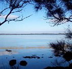 The Edgewater Bed and Breakfast - Redcliffe Tourism