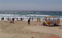 The Shed - Broger's End - Redcliffe Tourism 7