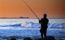 Emma's Cottage Vineyard - Redcliffe Tourism 1