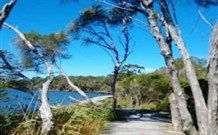 Emma's Cottage Vineyard - Redcliffe Tourism 5