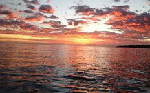 Emma's Cottage Vineyard - Redcliffe Tourism 4