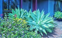 Jerrys Plains NSW Redcliffe Tourism