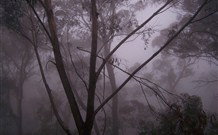 SeaChange Holiday Cottage And SeaStay Cottage - Redcliffe Tourism 4