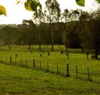 Stone Cottage Mittagong - Redcliffe Tourism