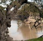 Valley View Cottage Hunter Valley - Redcliffe Tourism