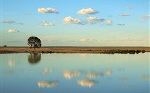 Valley View Cottage Hunter Valley - Redcliffe Tourism 4