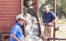 Valley View Cottage Hunter Valley - Redcliffe Tourism 7