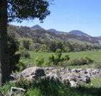 Woolshed Hill Estate - Redcliffe Tourism