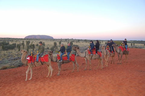 Ayers Rock - Outback Pioneer Lodge - Redcliffe Tourism 1