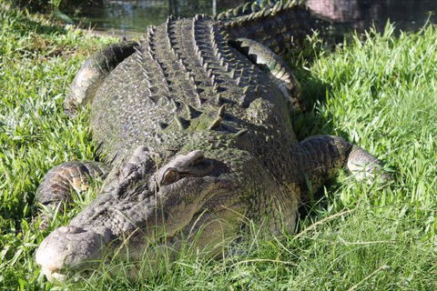 Corroboree Park Tavern - Redcliffe Tourism 7