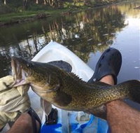 Dumaresq Homestead - Redcliffe Tourism