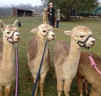 Bunyip Springs Farmstay - Redcliffe Tourism