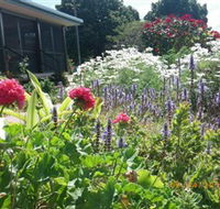 Eastwood Farm - Redcliffe Tourism