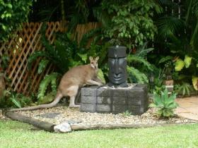 Bluewater Bed And Breakfast Cairns - Redcliffe Tourism 3