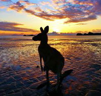 Cape Hillsborough Nature Tourist Park - Redcliffe Tourism
