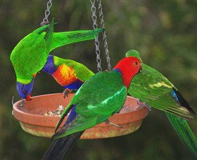 Bellthorpe Stays - Nature's Retreat - Redcliffe Tourism 3