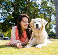 Jacobs Well Tourist Park - Redcliffe Tourism